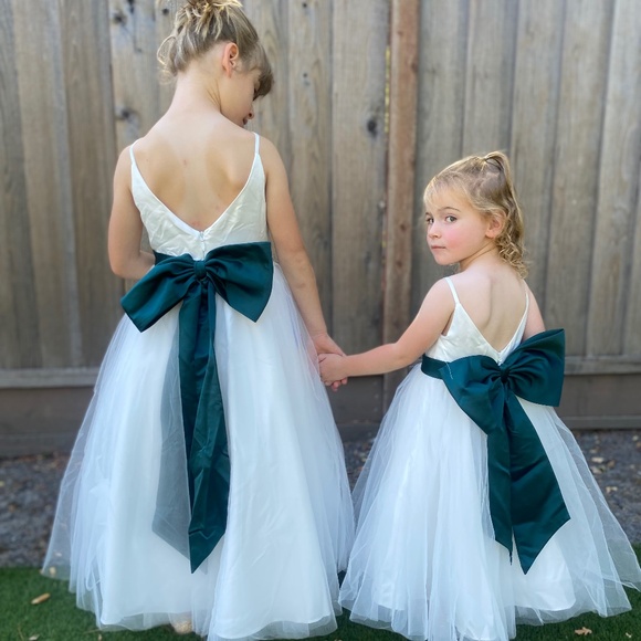 Flower Girl/Special Occasion Dress - Picture 6 of 8